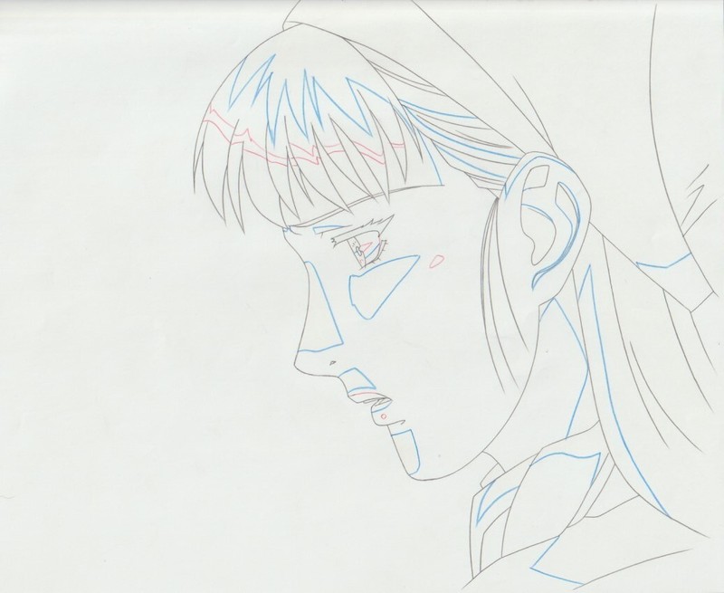 The Twelve Kingdoms Juuni Kokki Genga Douga Original Sketches Pierrot - Youko