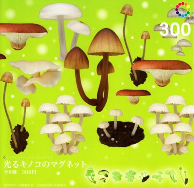 Magnet alle acht Sets Capsule Nature Technicolor MONO Leuchtpilz Kostenloser ...