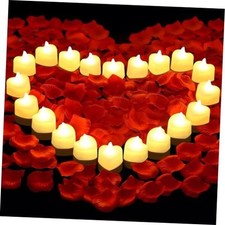 3000 PCS Artificial Rose Petals with 20 PCS Flameless LED Tea Lights Candles