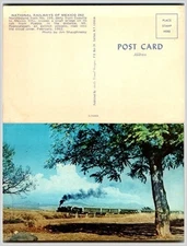 Mexico Train 262 Postcard 1962 Mt Popocatepetl Audio Visual Designs Chrome
