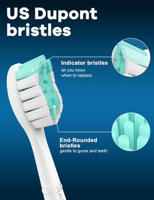 Toothbrush Replacement Heads for Philips Sonicare 4100 5100 C2 G2 C1 W - Medi...