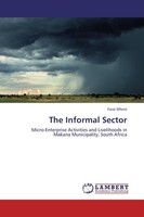 The Informal Sector Farai Mtero