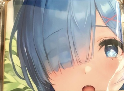 Re:Zero Rem Dakimakura Pillow Cover 2 Way 90x45cm New
