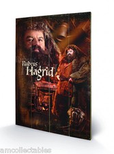 PIRAMIDA DRUK NA DREWNIE - HARRY POTTER - HAGRID - 40x60 cm - PLAKAT ŚCIENNY - NOWY
