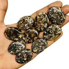 9 Pcs Natural African Tutela Jasper 33.5-35.5mm Untreated Cabochon Gemstones