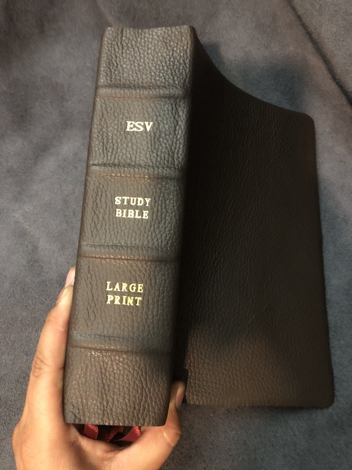 ESV study Bible Large Print genuine leather Brown English Standard ...