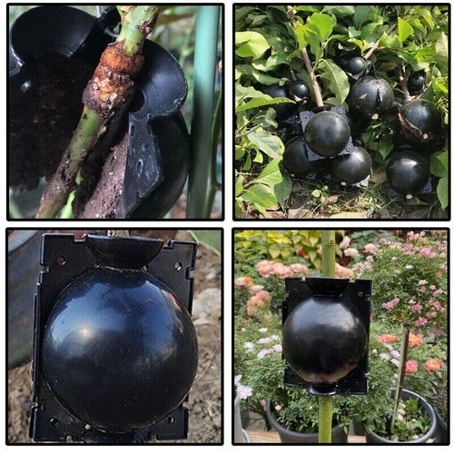2/5/10X Plant Rooting Device Grafting Ball Box Growing High Pressure Propagation - Bild 5 von 21