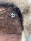 Bild 6 von 9