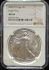 2025 P American Silver Eagle NGC MS69 ASE Eagle Privy Graded US Coin Slab (460)