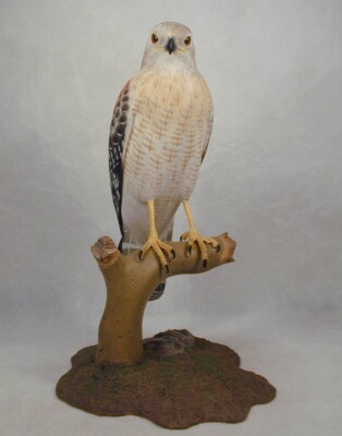 Red-shouldered Hawk Original Wood Carving | eBay