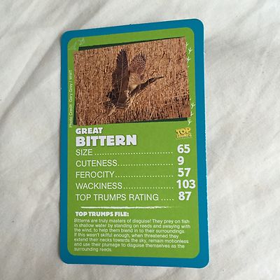 Winning Moves Top Trumps Feuchtgebiete Great Bittern Bird STT-Karte
