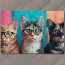 Art Print Cat with Glasses Fun Cute Colorful Kitty Unusual Animal Funny Sweet