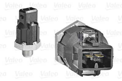 VALEO 255400 Klopfsensor für ,DACIA,RENAULT
