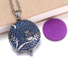 Elegant 925 Sterling Silver Owl Unique Fashion Charms Locket Pendant Necklace