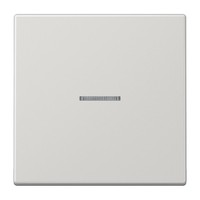 Jung Enet Funk-Steuertaste Fm Ls 1700 Lg Intelligent FMLS1700LG Enet