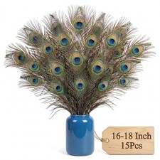 Lamar Peacock Feathers 15 Pcs 16-18 Inch Feathers Bulk Bundle for Tall Vases, We