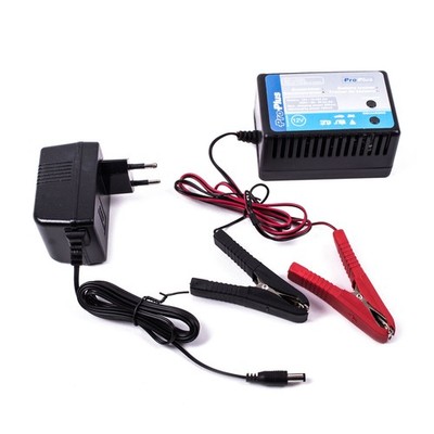 ProPlus Erhaltungsladegerät Trainer 12V 10-250Ah, Gel-Batterie, für Quad / Atv