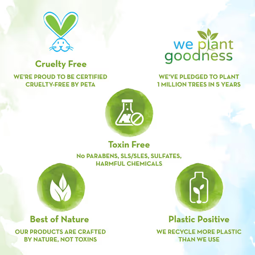 Mamaearth Combo of Tea Tree Shampoo & Conditioner for Dandruff Free -250ml+250ml - Picture 12 of 12