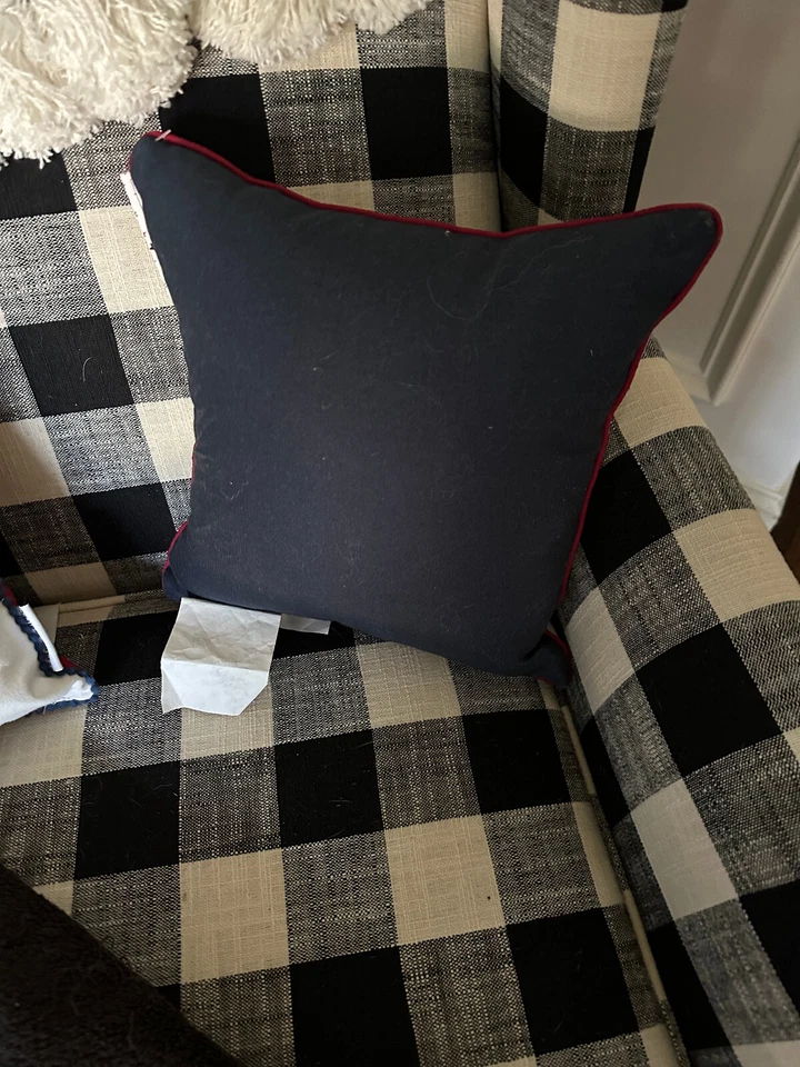 Stars & Stripes  French Bulldog 4th of July Decorative Pillow 12x12 - Image 3 of 3