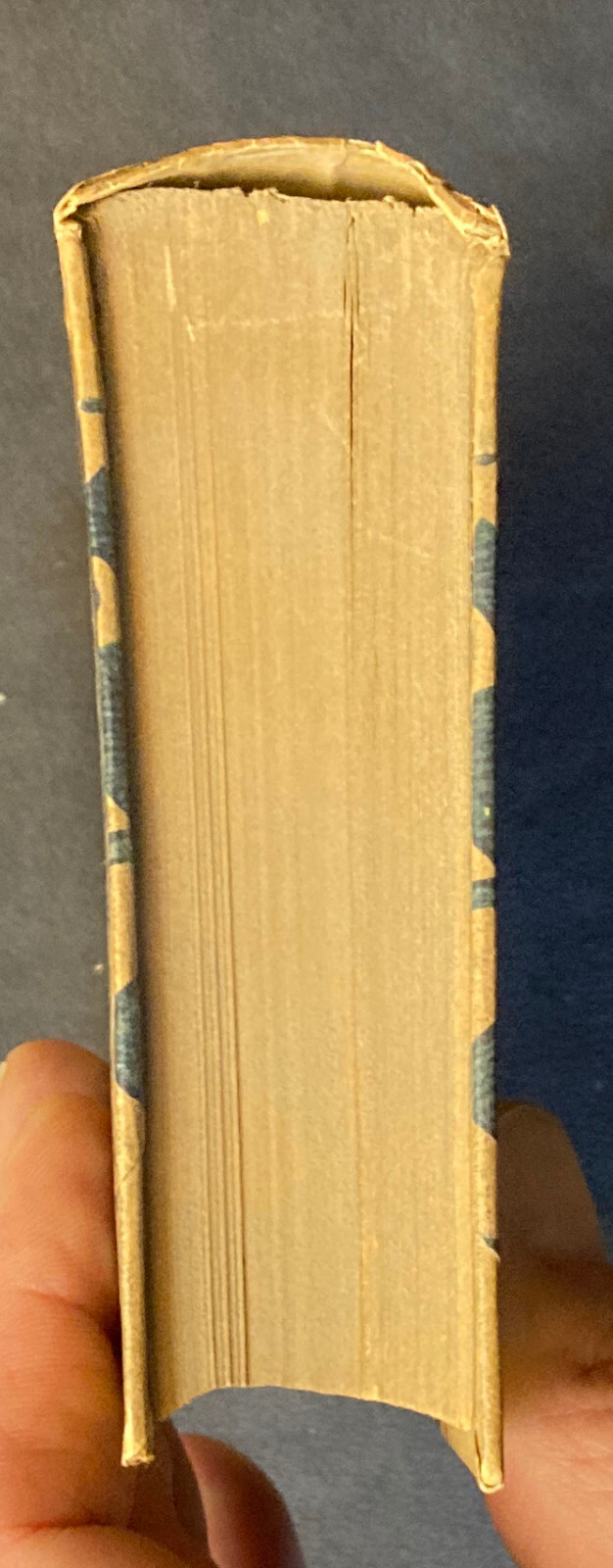 Foto 19 di 19