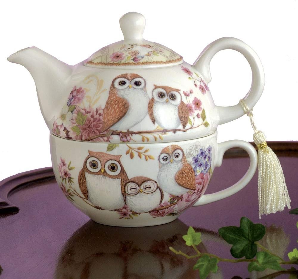 Home and Kitchen Décor-Tea for One Owls Porcelain Teapot and Cup - Adorable Owl