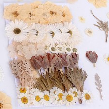 100 PCS Real Dried Pressed Flowers Leaves Natural Plant Herbarium for DIY Res...