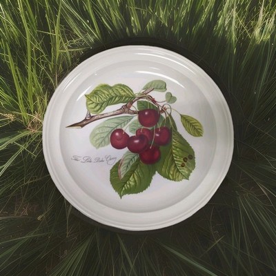 Portmeirion Pomona Late Duke Cherry 10.5'' Dinner Plate Vintage Orange Label VTG