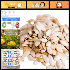 Lightly Sea Salted Pumpkin Seeds in Shell - 2 LBS, Non-GMO, Vegan, Kosher, Aller 26.00 per gallon