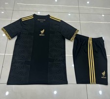 Mexico Seleccion Adulto SETS Jersey AND Shorts