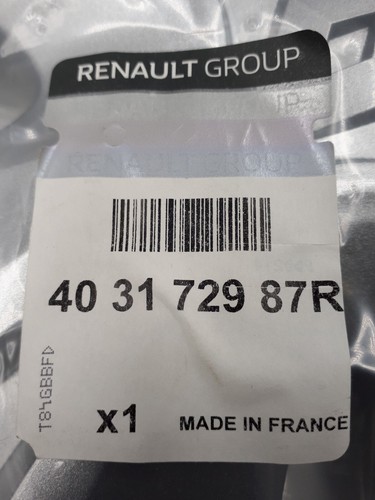 Embellecedor de rueda Tapacubos 15" Renault Zoe 2018-2025 Original 403172987R - Imagen 6 de 6