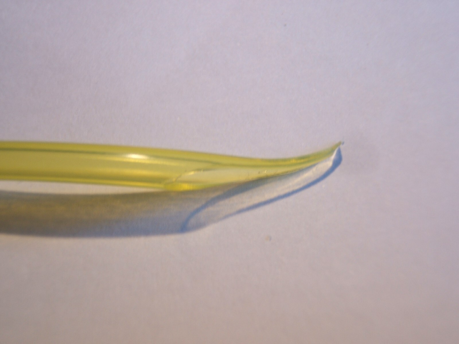 Picture 3 of 6