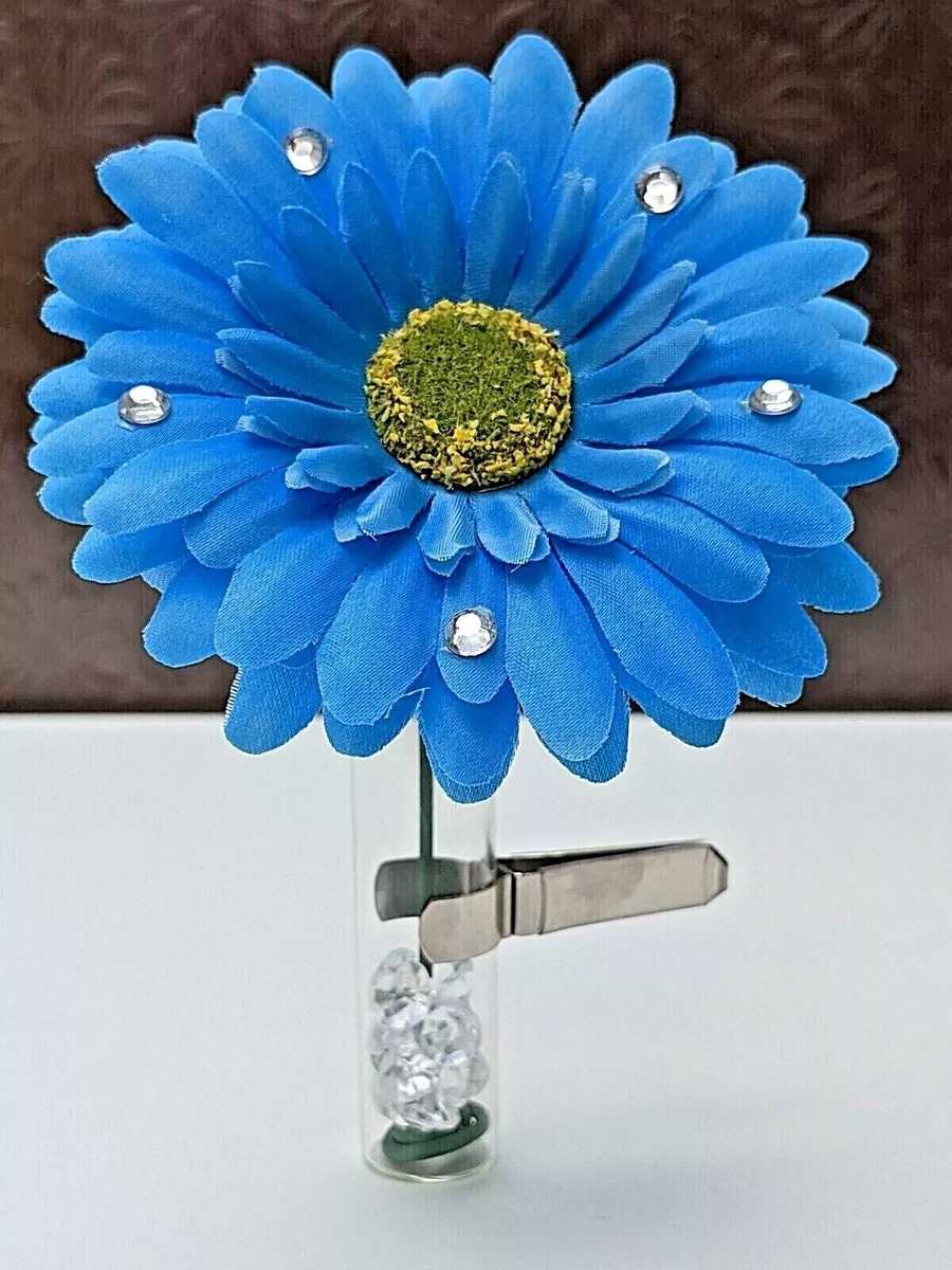 Blue gerbera daisy discount