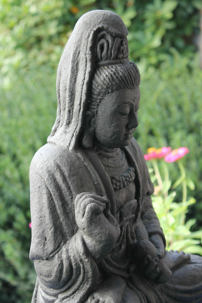 Picture 7 of 7