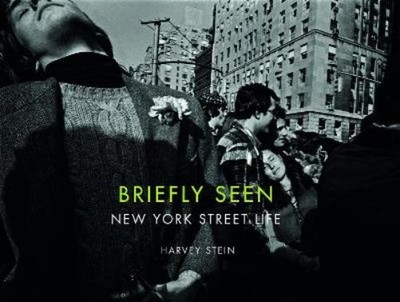 Harvey Stein Briefly Seen (Hardback) (UK IMPORT)