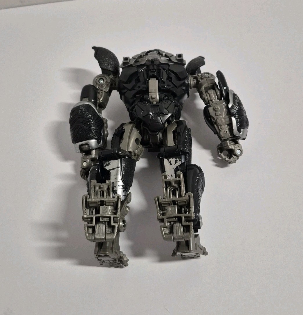Picture 6 of 6