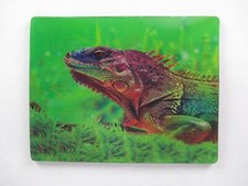 Eidechse Echse Tier Magnet 3 D Tiefenoptik 9 cm K&uuml;hlschrank Souvenir,Neu