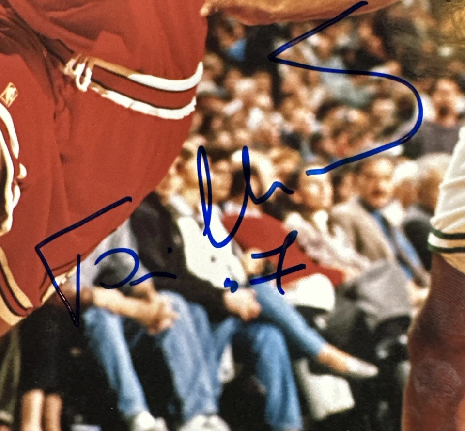 Toni Kukoc Chicago Bulls Signed 8x10 Photo # 7 Auto Steiner Coa World Champion - Image 2 of 4