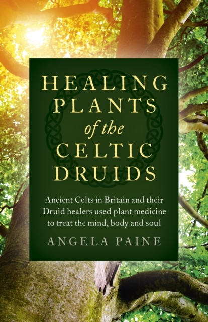 Healing Plants of the Celtic Druids – Ancient Celts in Britain and their Druid