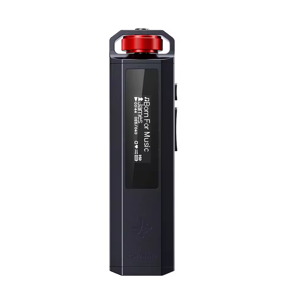 FiiO ECHO NANO HiFi MP3 Music Player OLED Display USB DAC Lossless ...