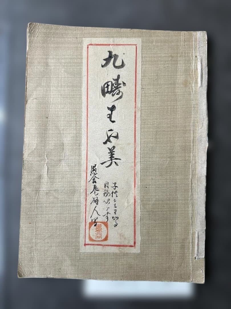JAPANESE ASTROLOGY BOOK on Nine Star Divination, Hand-drawn Diagrams, Watoji Co