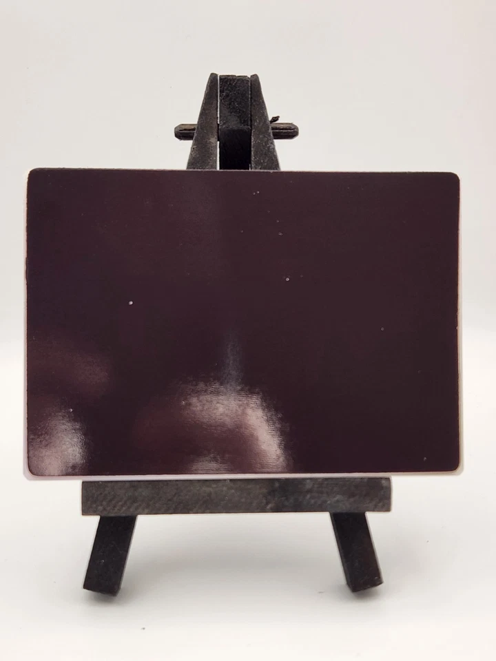 POKEMON Charizard Snow Globe Holo FRIDGE MAGNET Chinese Official RARE - Image 2 of 2