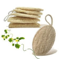 Loofah Natural Kitchen Sponge 5 Pcs , No Scratch Scrubber for Dish Cleaning,...
