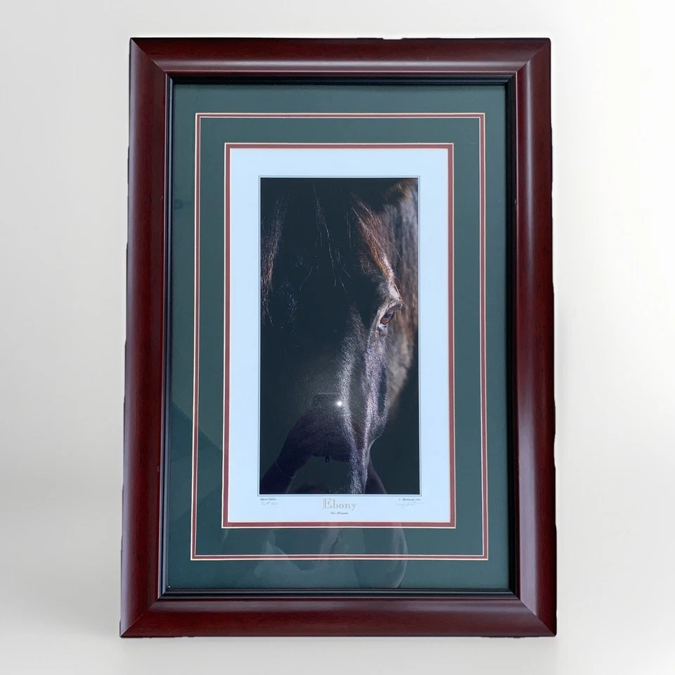 Ebony by John S. Hockensmith - Fine Art Print #26/1000 COA Framed Horse Art - Image 2 of 4