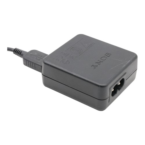 Sony Chargeur USB AC-UB10D AC-UB10 AC-UB10C Pour RX Nex HX W WX Alpha