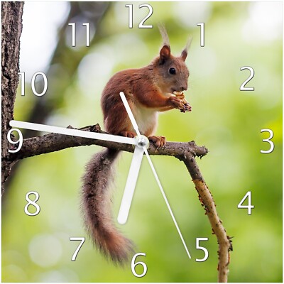 Wallario Wanduhr aus Glas Eichhörnchen einem Ast Wald Baum  Chip Chap Tier süß