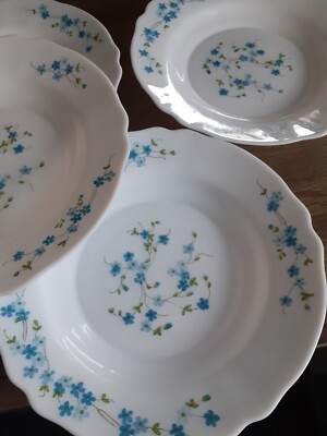 Service d'assiettes & plats en ARCOPAL à Myosotis Vintage - Le palais