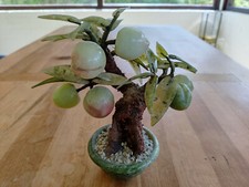 Jade Pfirsich Baum