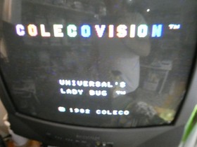 Lady Bug (Colecovision, 1982) Tested and Working