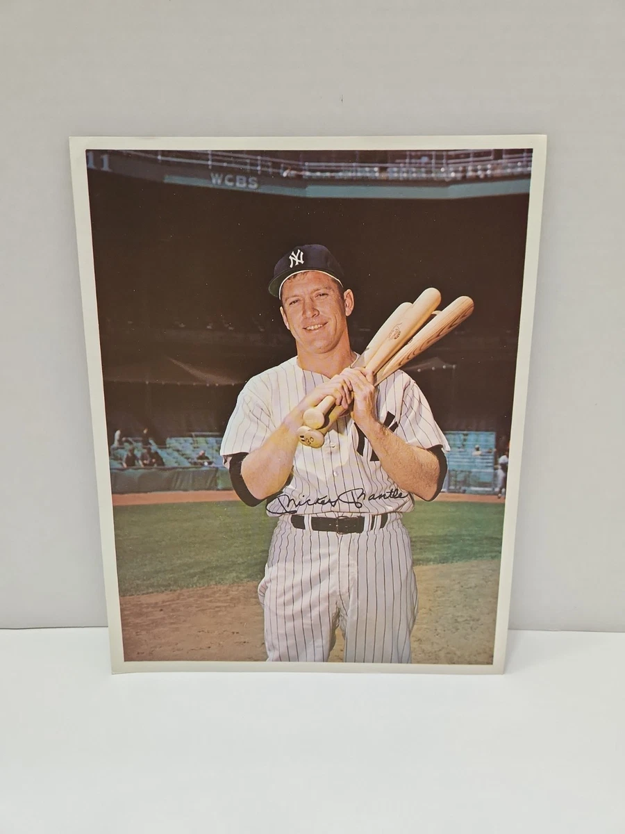 希少　スーパーメジャーシリーズ　日本vs米大リーグ　タオル　コレクター Baseball 1966 Vintage Sports Memorabilia for sale | eBay