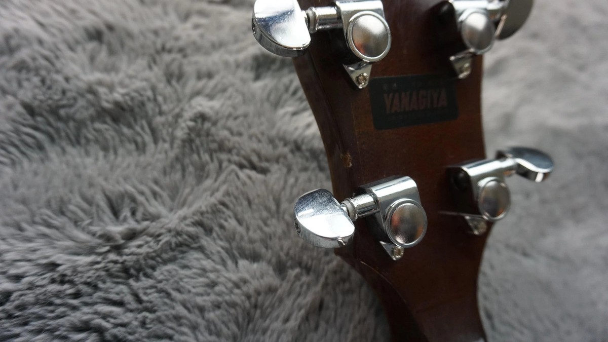 Tokai T400R 1976 5-String Banjo Japan | eBay